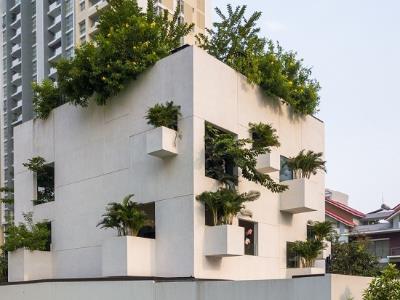 Nhà Sài Gòn trổ 10 mảnh vườn lơ lửng